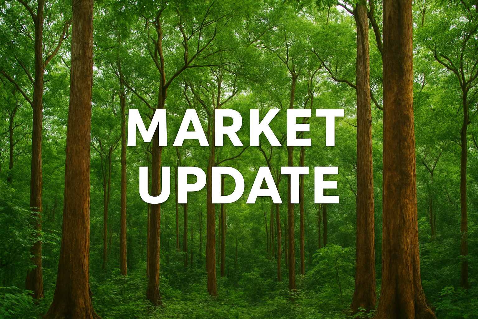 Ipe Market Update